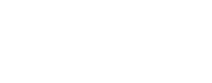 Vibration Institute